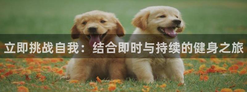 意昂2娱乐