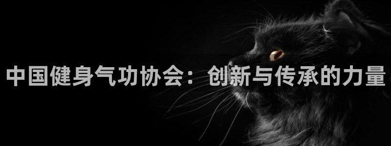 意昂2招商