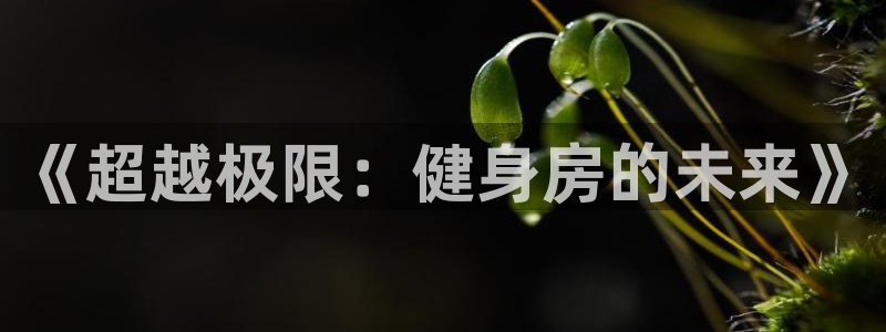 意昂2官网