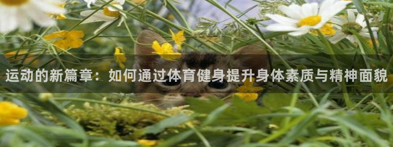 意昂2官方网站